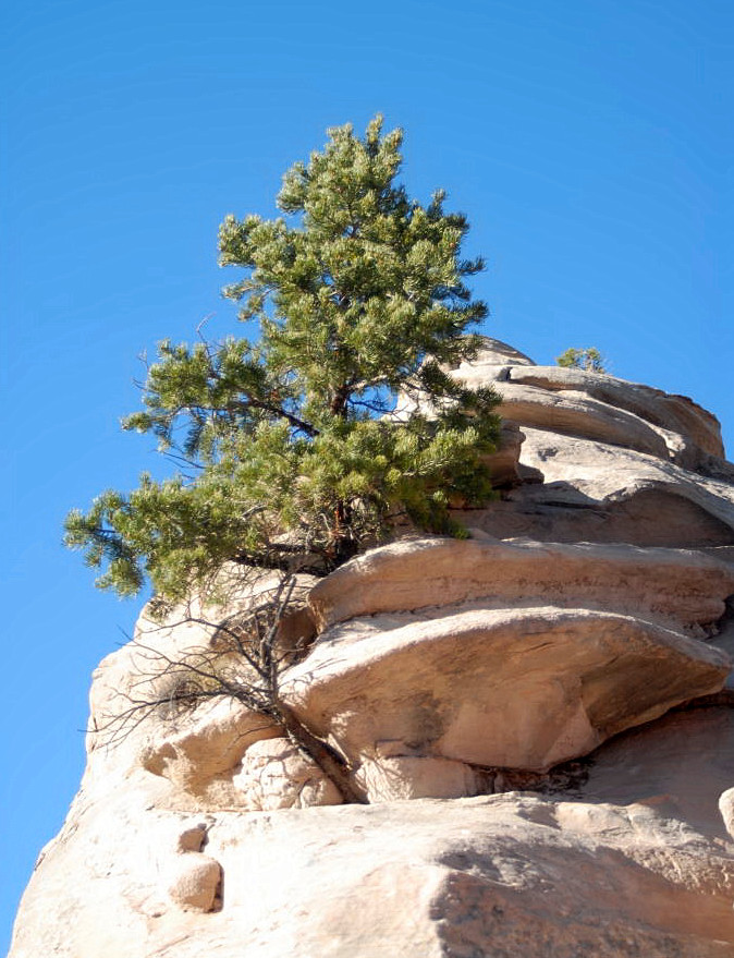 Window Rock, Arizona