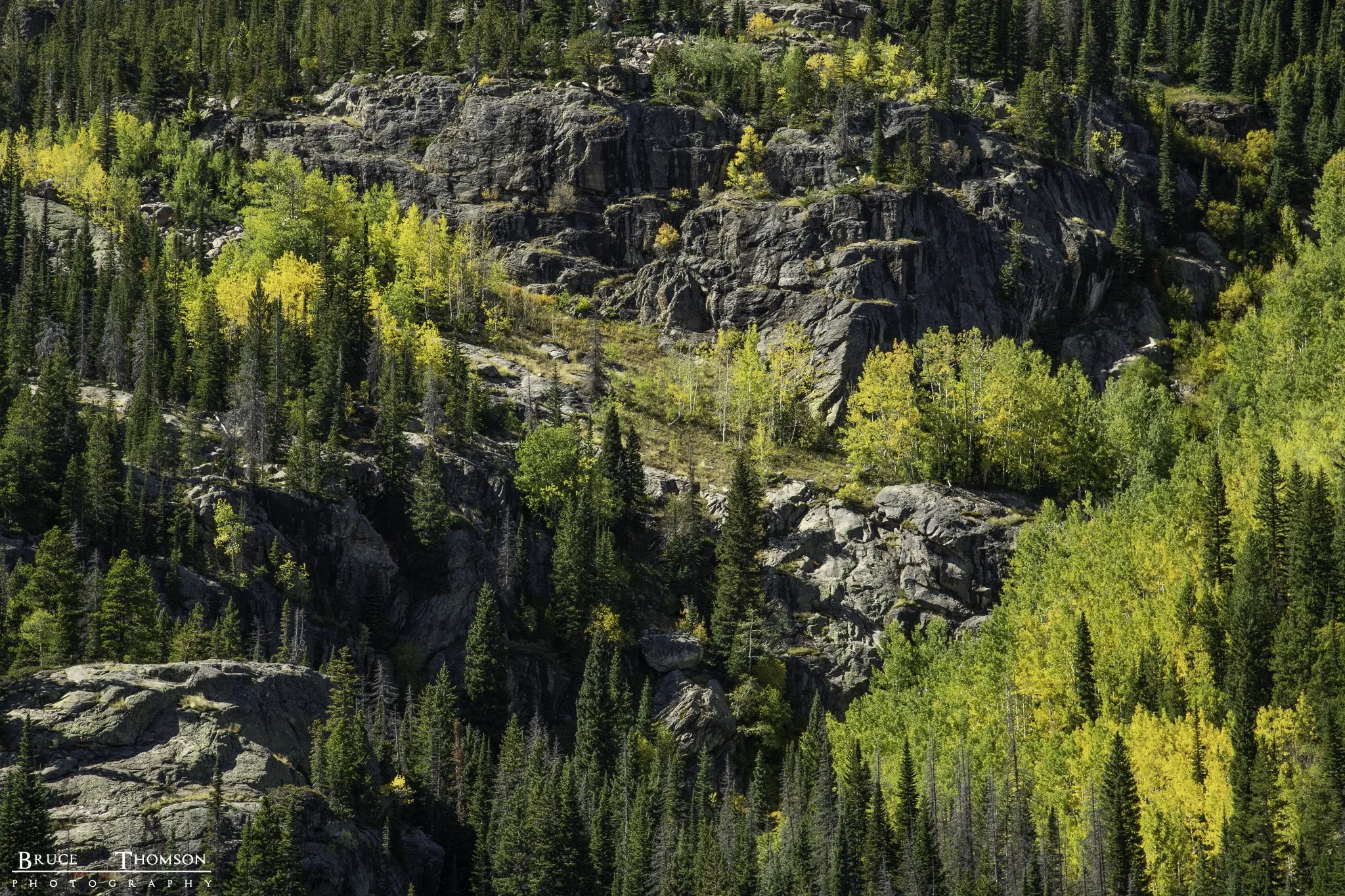 _DSC3115.jpg