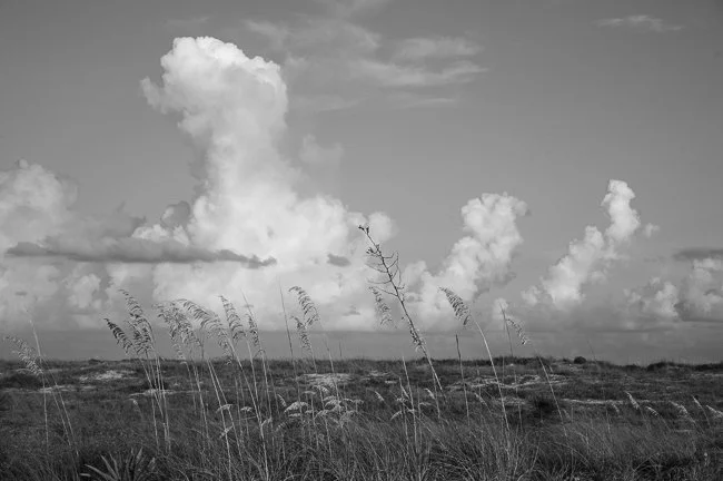 Henderson Beach State Park, Destin, FL