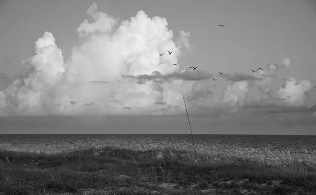 Henderson Beach State Park -2, Destin, FL