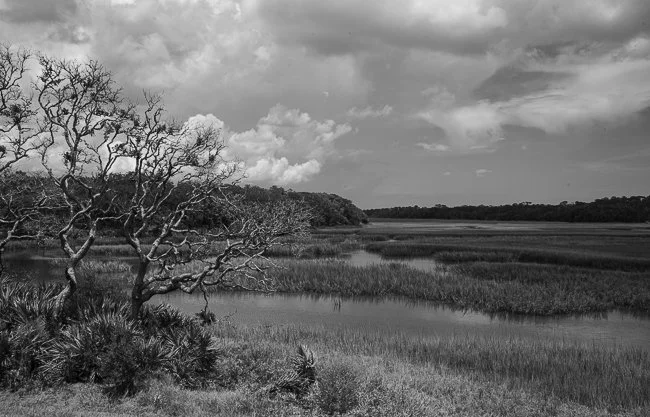Simpson Creek -3, Talbot Islands, FL