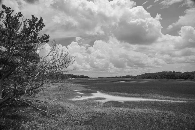 Simpson Creek - 4, Talbot Islands, FL