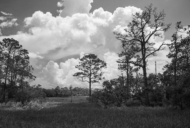 Simpson Creek - 6, Talbot Islands, FL
