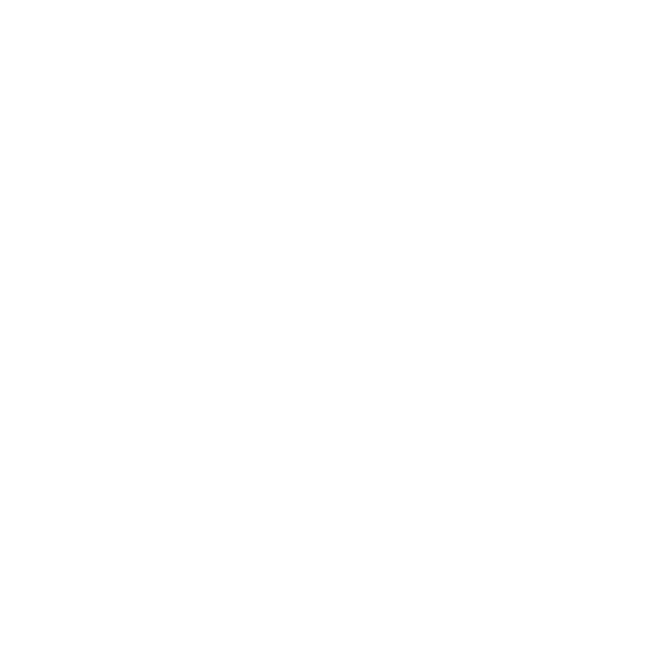 4.0 PHOTOGRAHERS WHITE.png