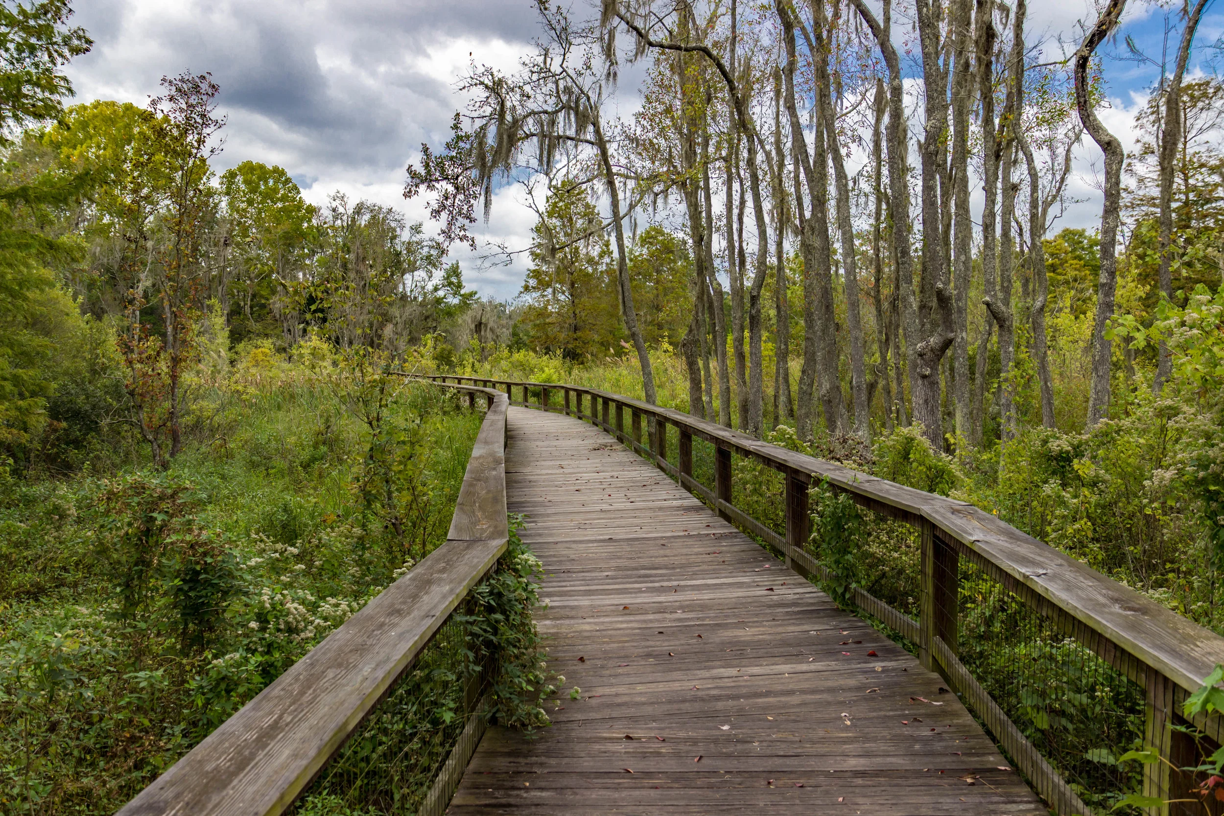 IMG_8585-HDR.jpg