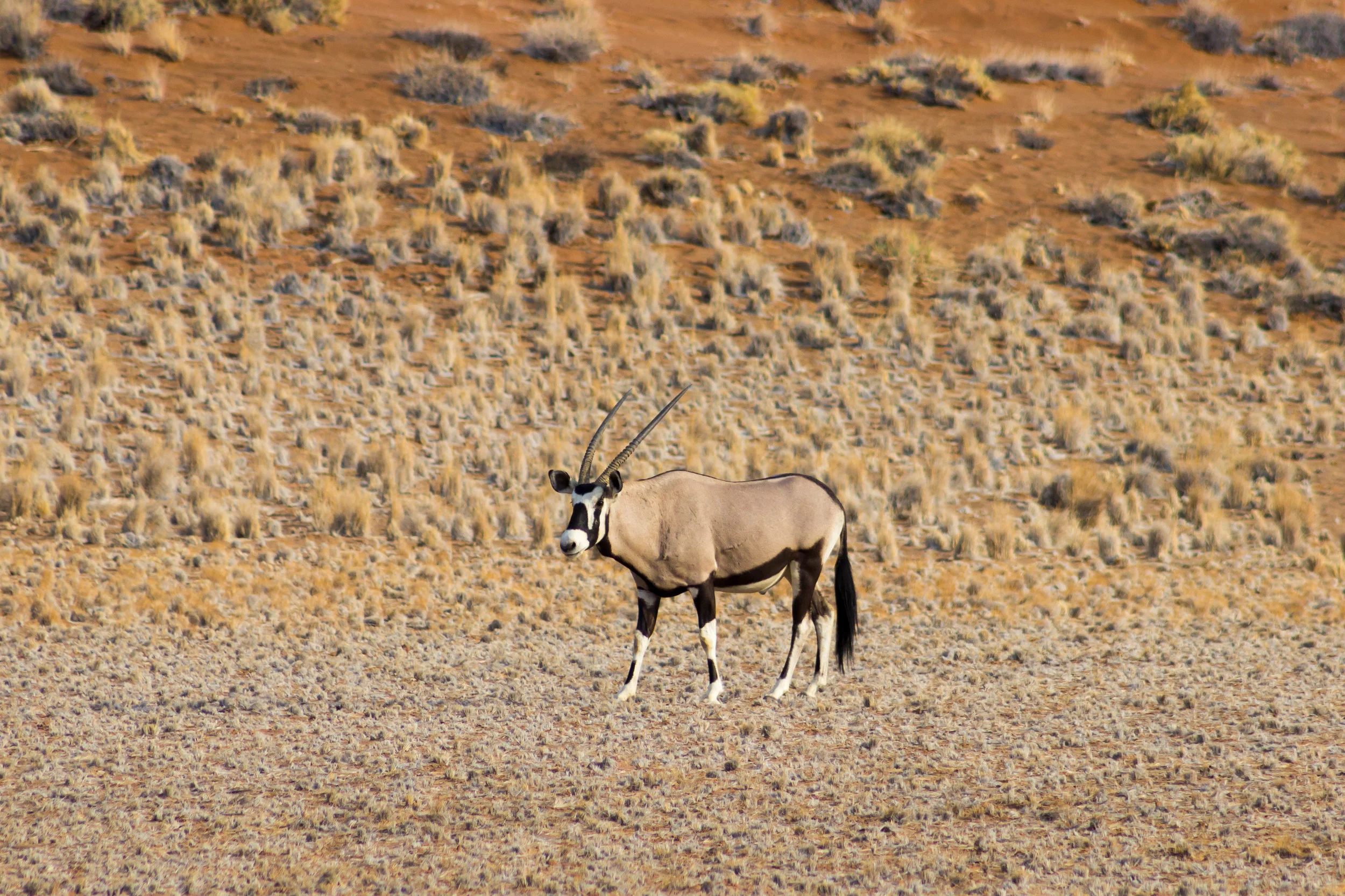 IMG_8944.jpg