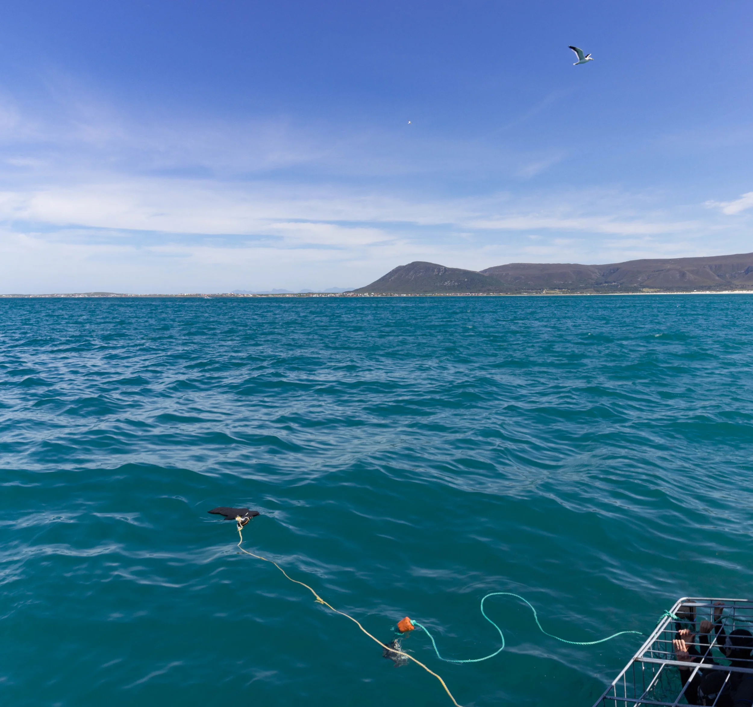IMG_4676-Pano.jpg