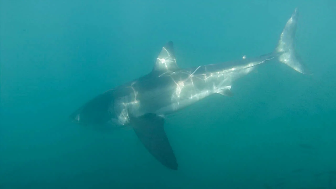 GOPR0592-6.jpg