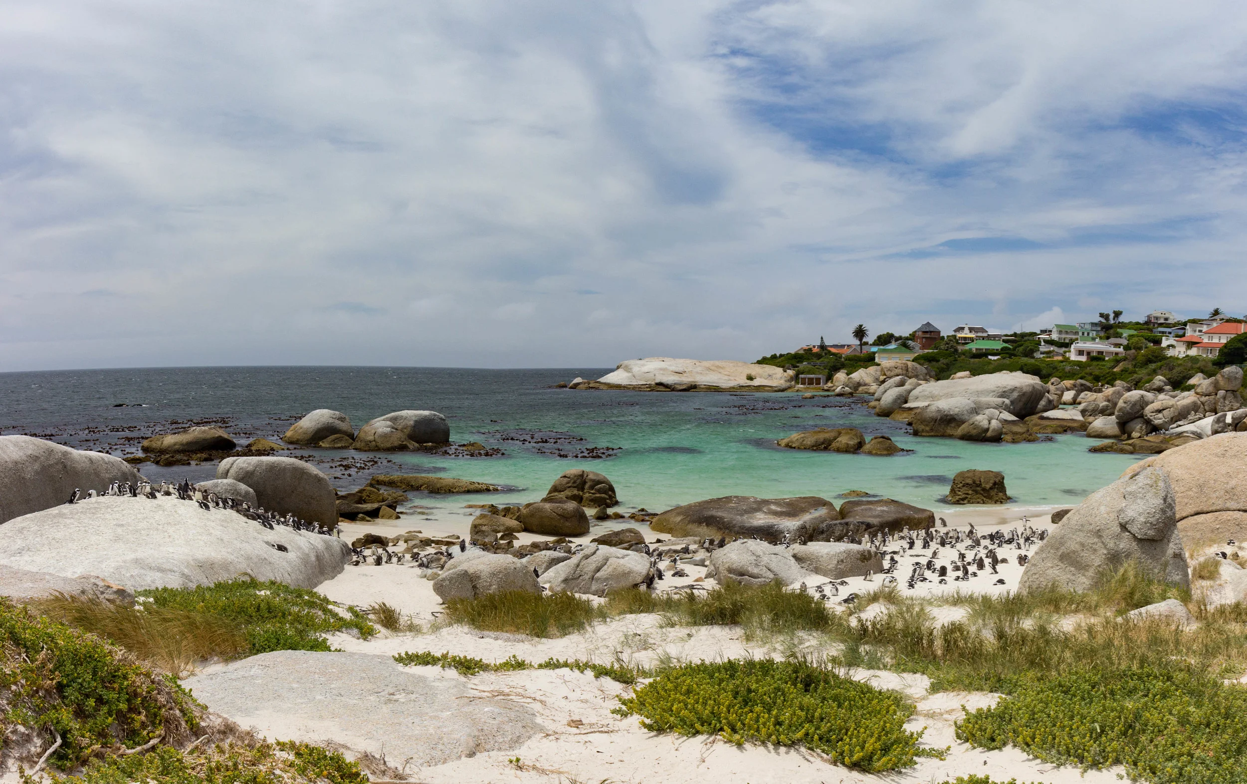 IMG_5365-Pano.jpg