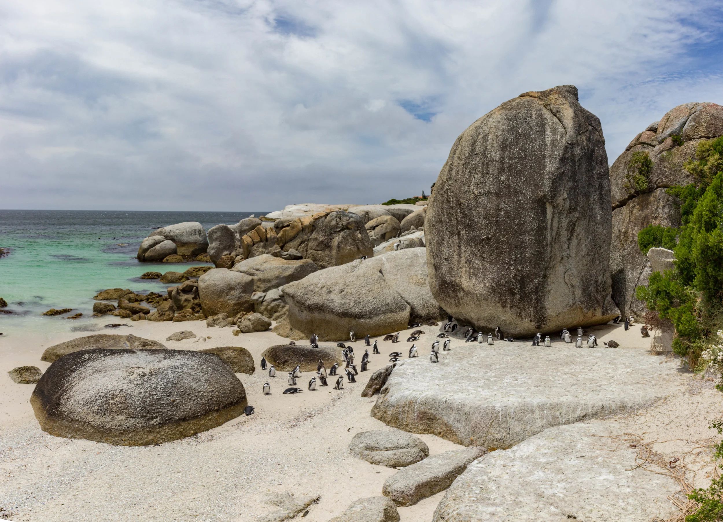 IMG_5376-Pano.jpg