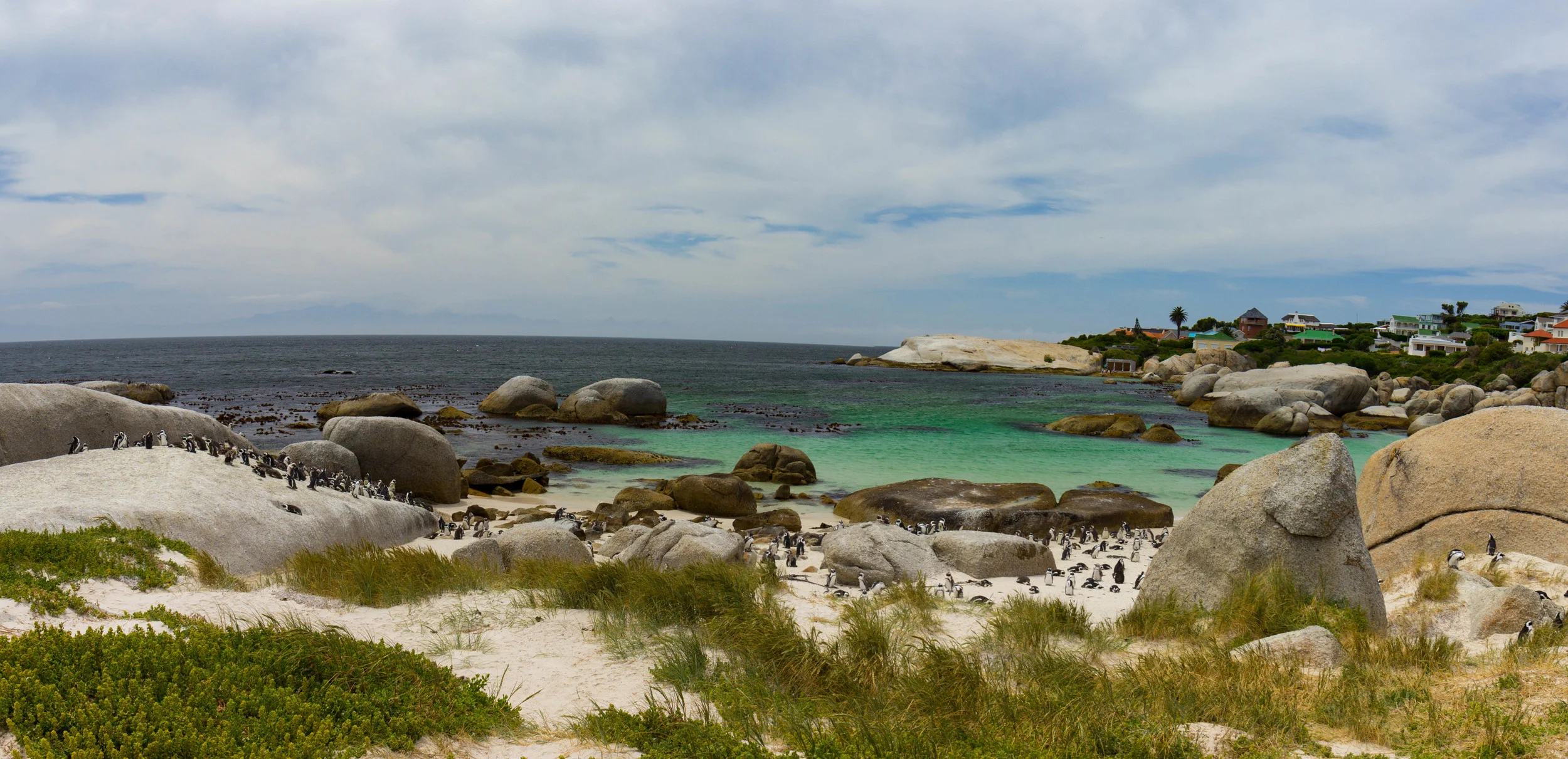 IMG_5263-Pano.jpg