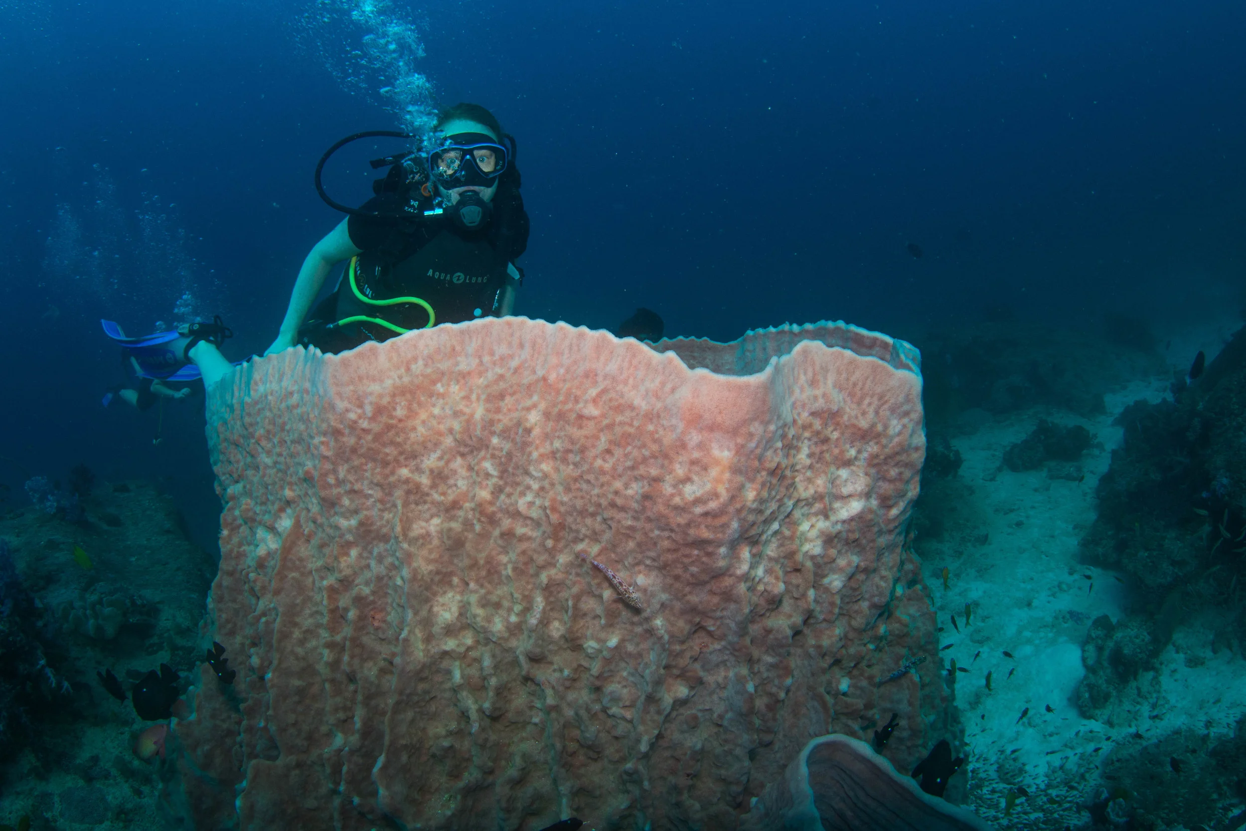 Dolphine Queen, SCUBA Liveaboard, Similan & Surin, Thailand, Pepe Suarez