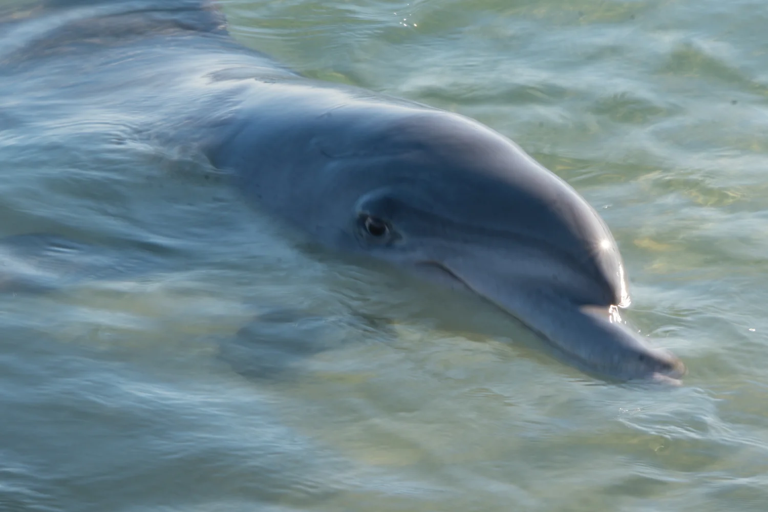 DSC05879_tyb.jpg