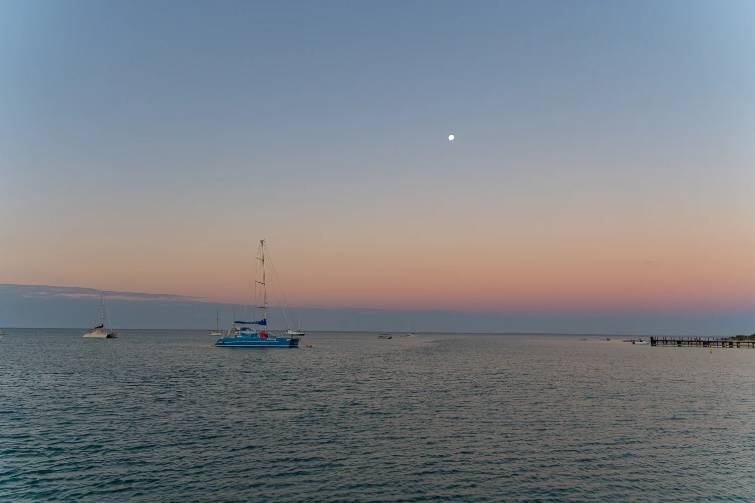 DSC05786_tyb.jpg