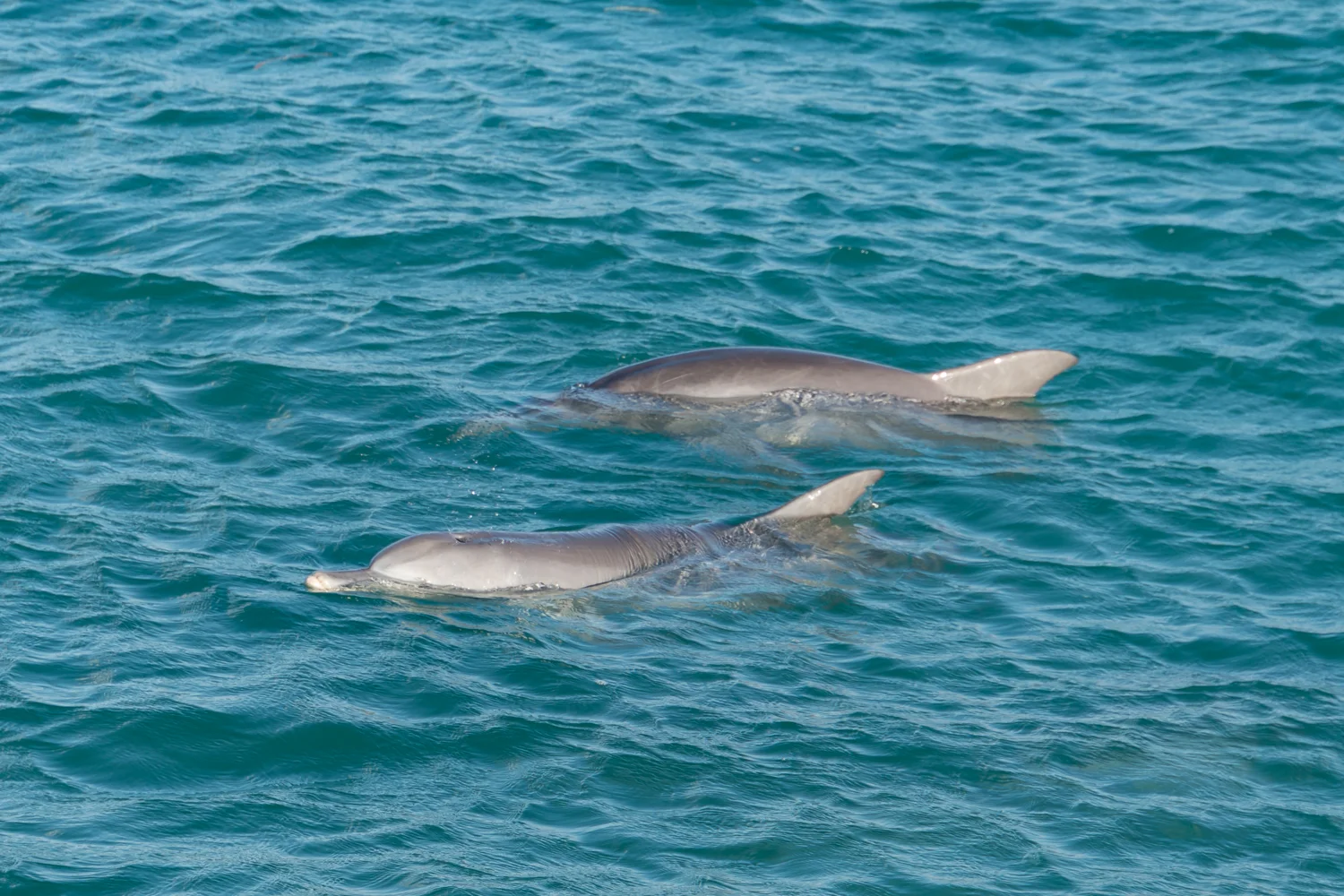 DSC05710_tyb.jpg