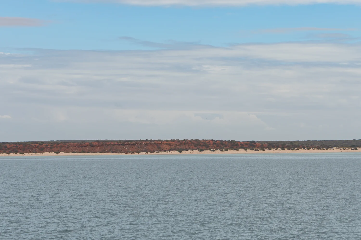 DSC05673_tyb.jpg