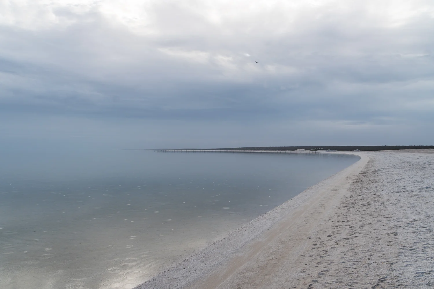 DSC05593_tyb.jpg