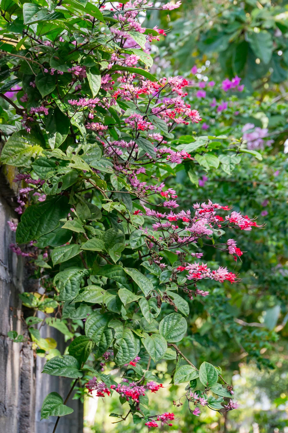 DSC07402_tyb.jpg