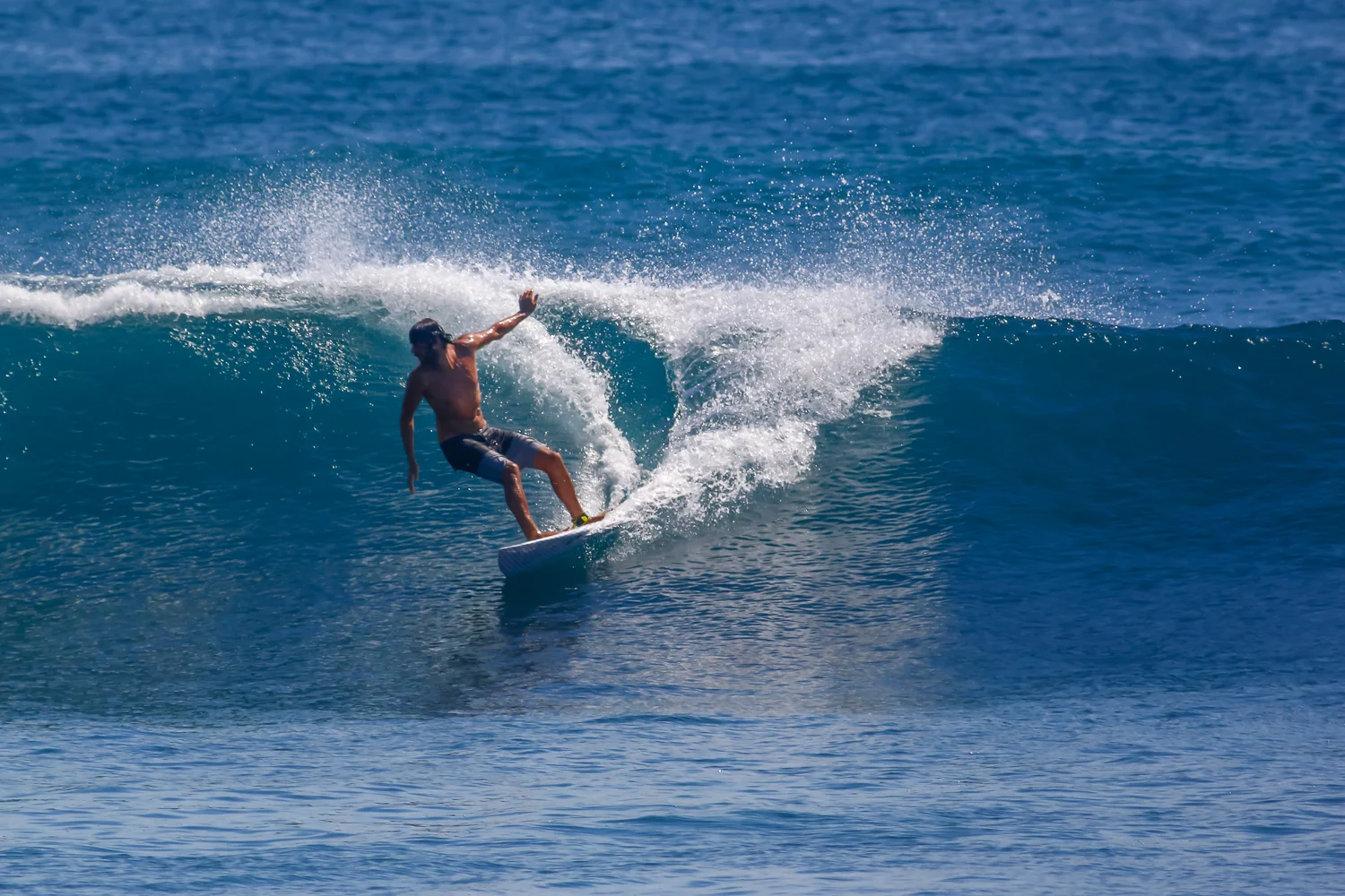 _MG_4654 (1)_tyb.jpg