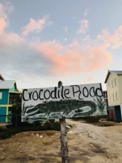 Crocodile Road