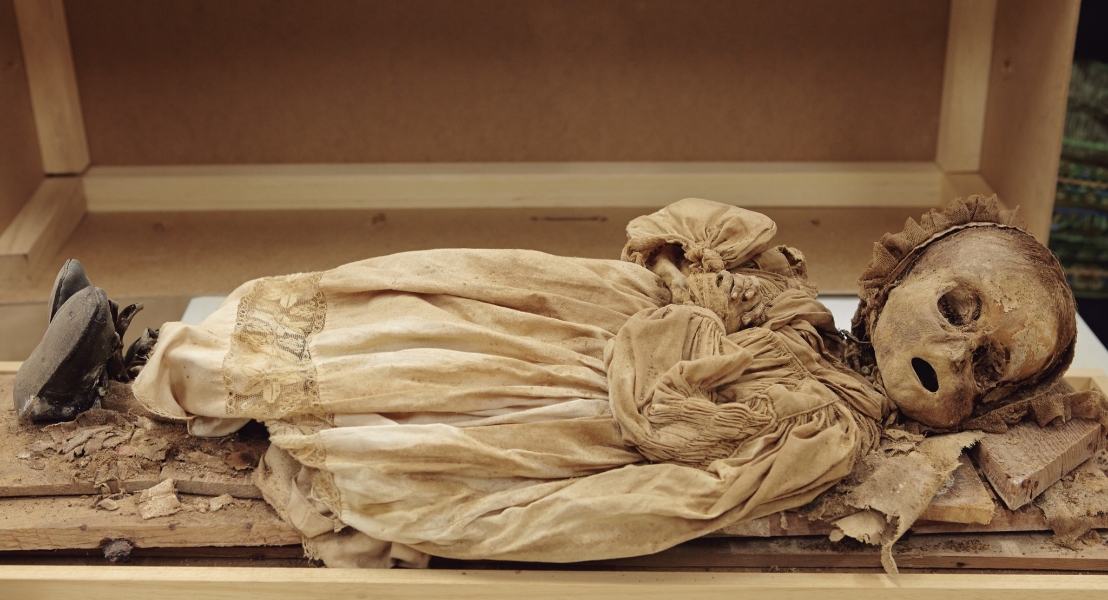 Mummified remains of an infant from the crypt. Photo: Javier Balaguer, Jaime de Linos, and Gonzalo Tapia.