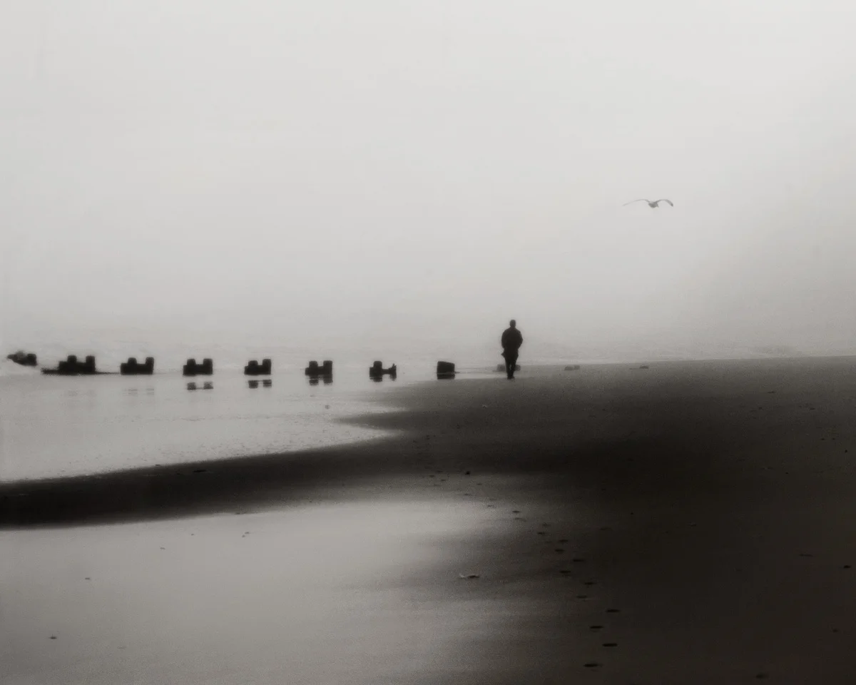 duo in the fog
