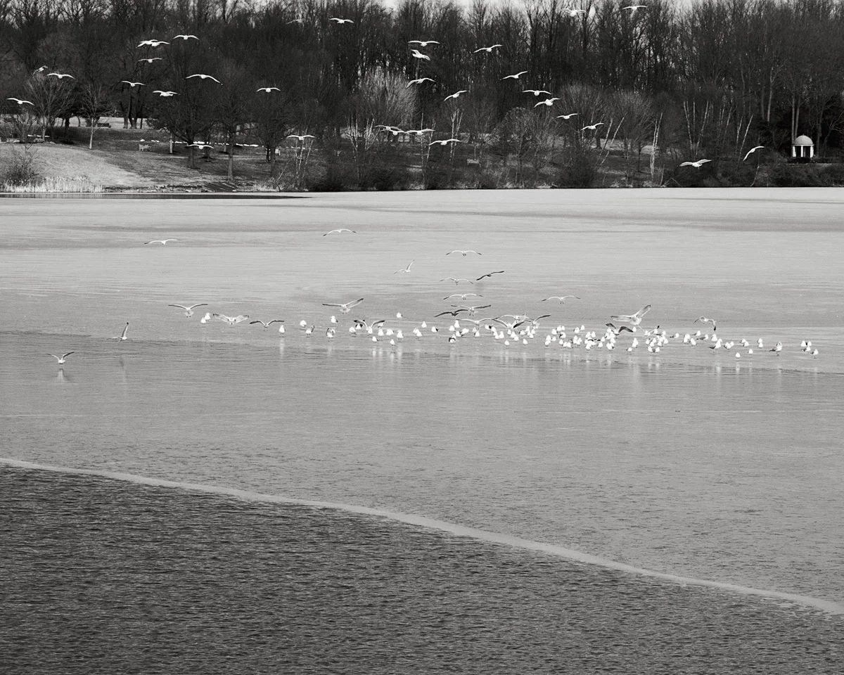 winter