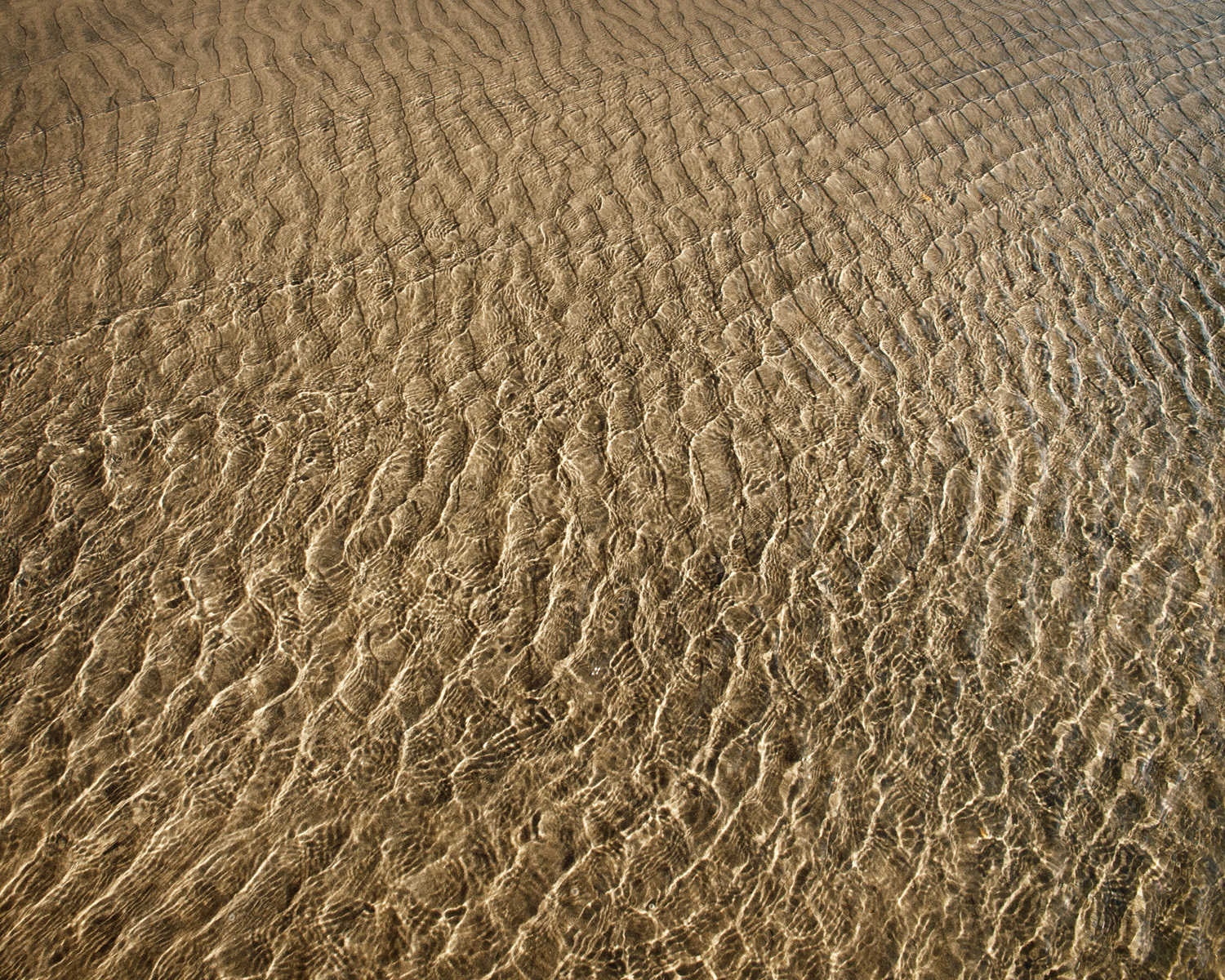 sand ripples