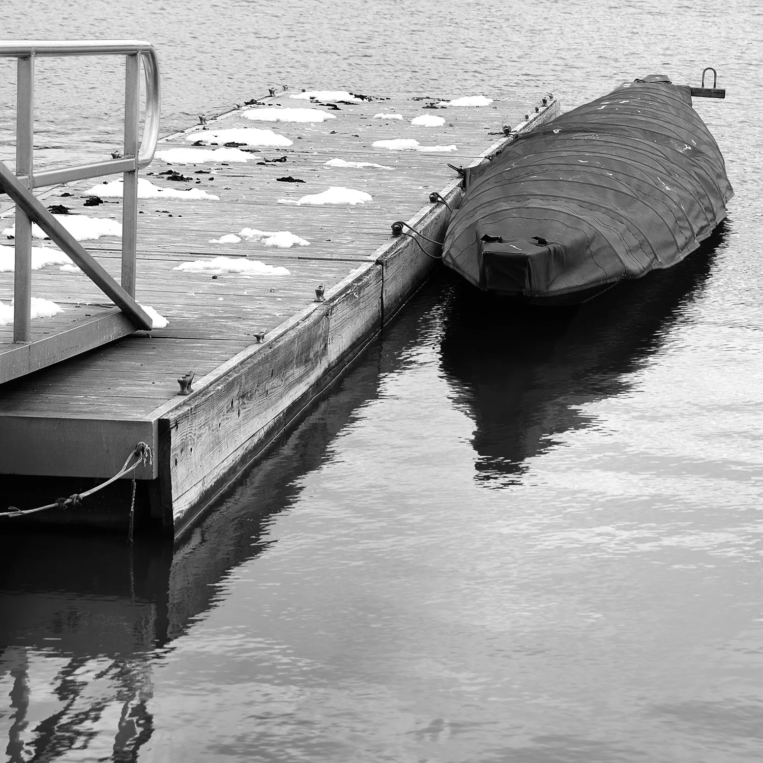 _DSC2762sq.jpg