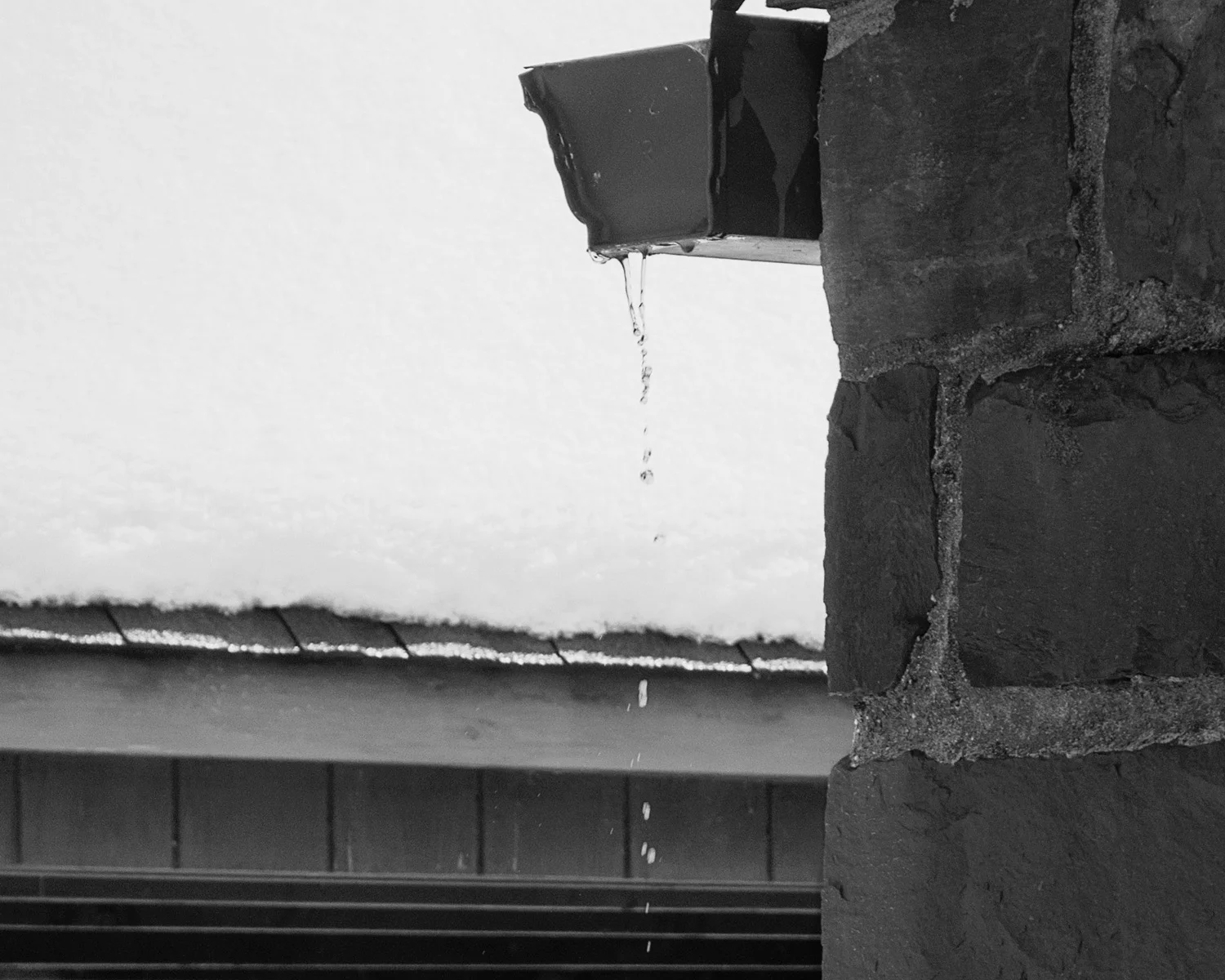 _DSC3181a.jpg