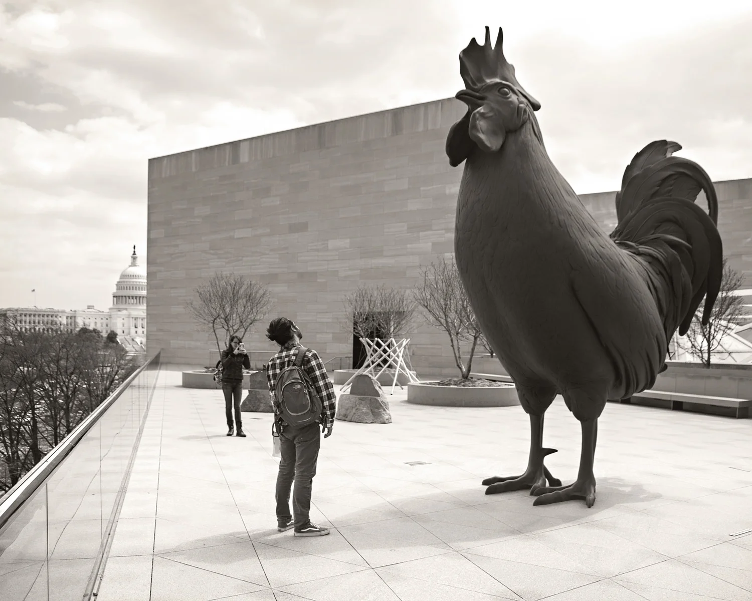 Hahn/Cock by Katharina Fritsch