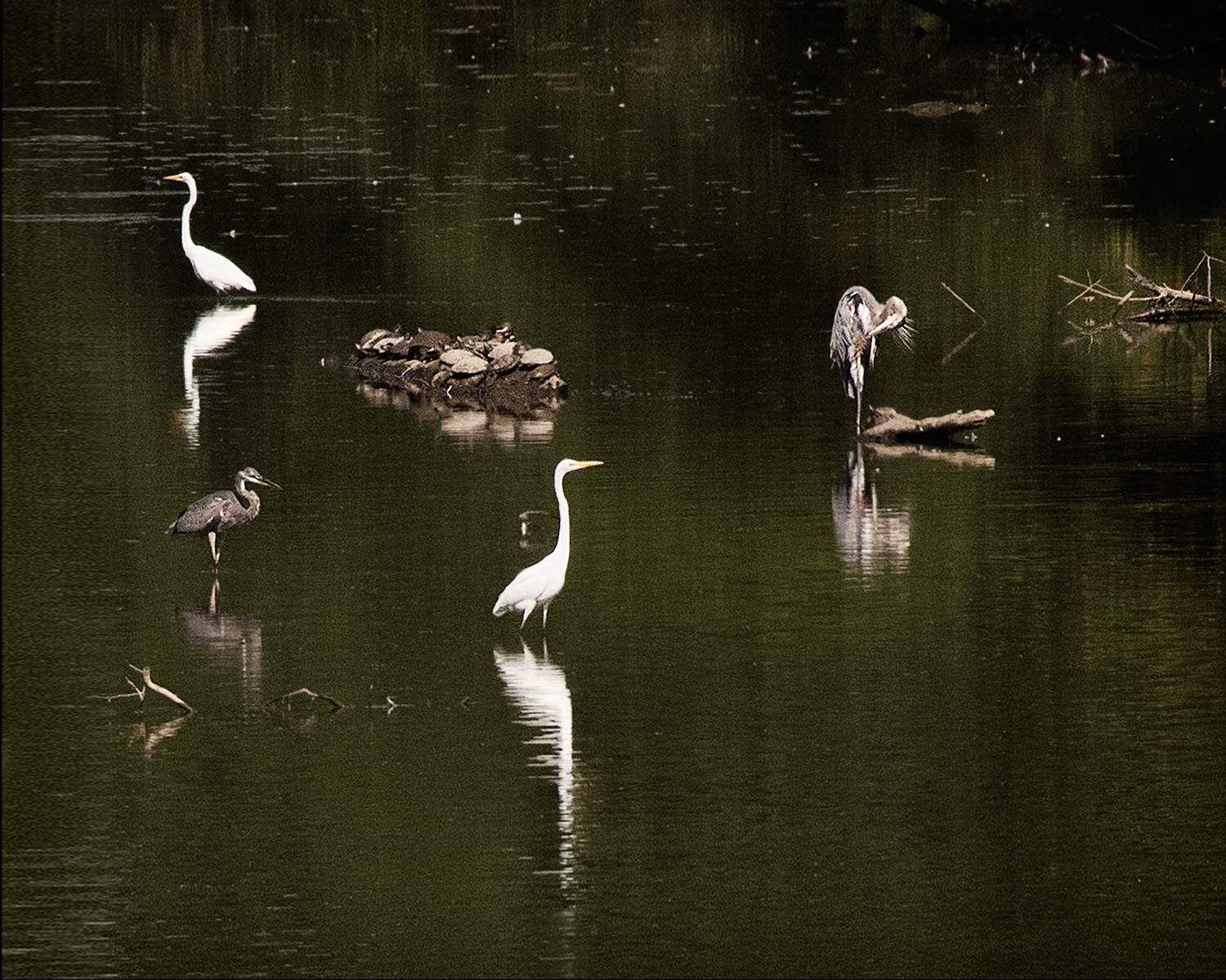 _DSC1331_Web.jpg