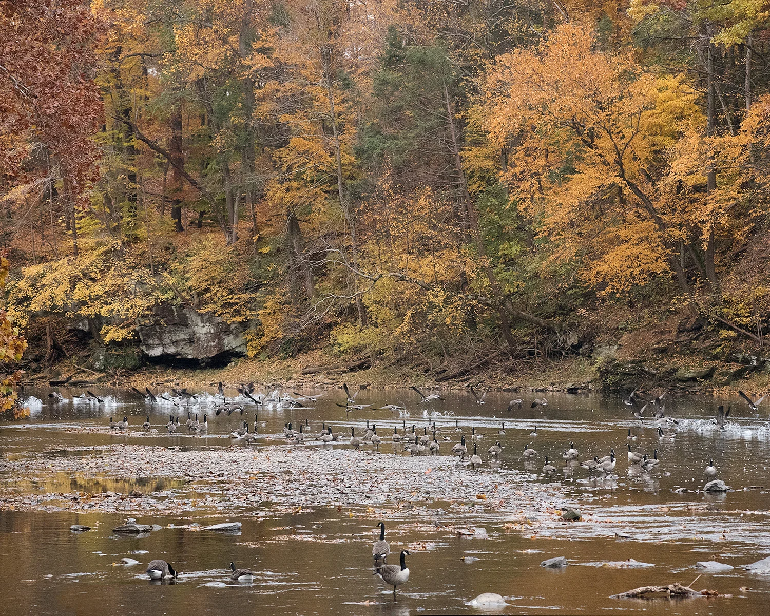 _DSC5894.jpg