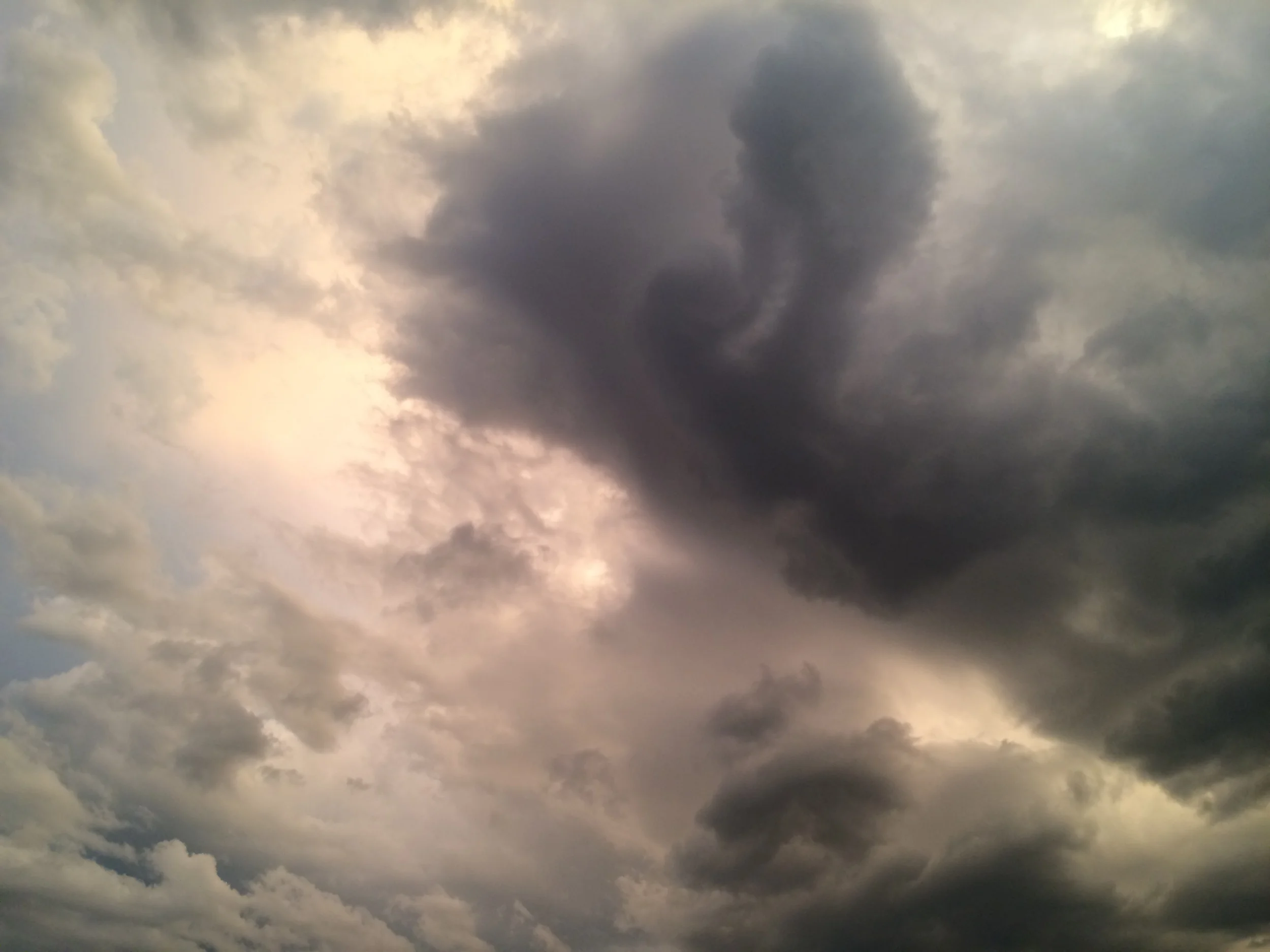 iphone july 2014 238.JPG