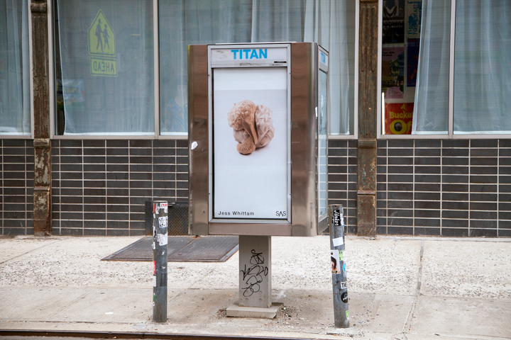 Location: Hestor St & Orchard St (64 Hestor St)