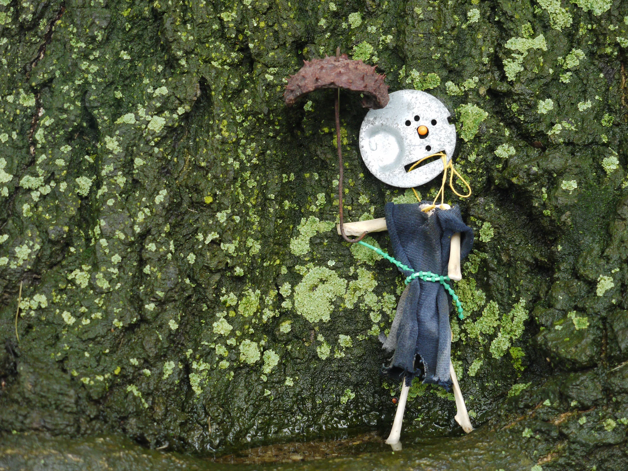Jeanne Verdoux Will climate change affect rainfall?