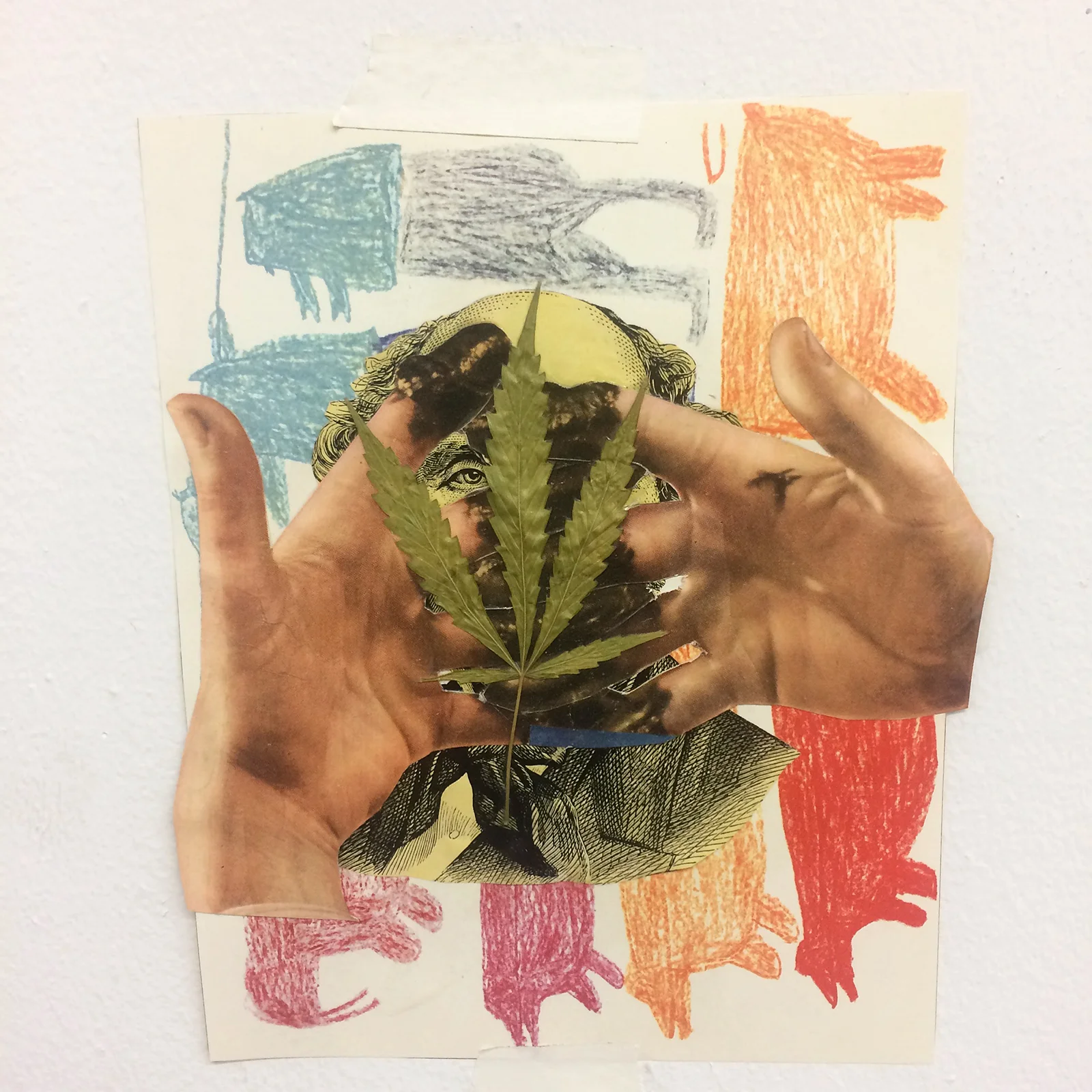 Noah Tavlin Visions