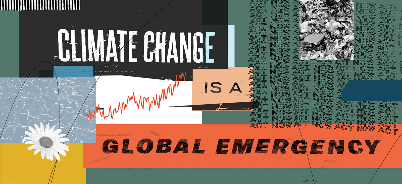 Ellen Rutt,  Climate Change is a Global Emergency , Digital collage, 2019