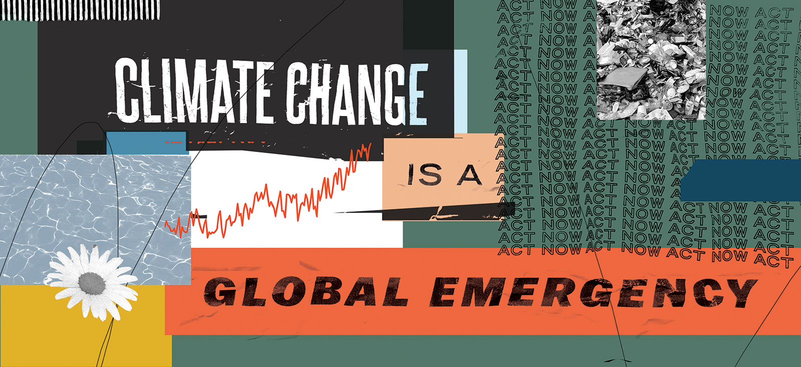 Ellen Rutt, Climate Change is a Global Emergency , Digital collage, 2019