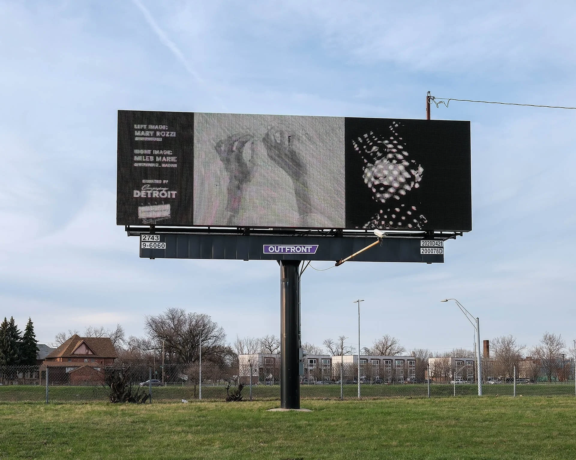 DSCF1251-web.jpg