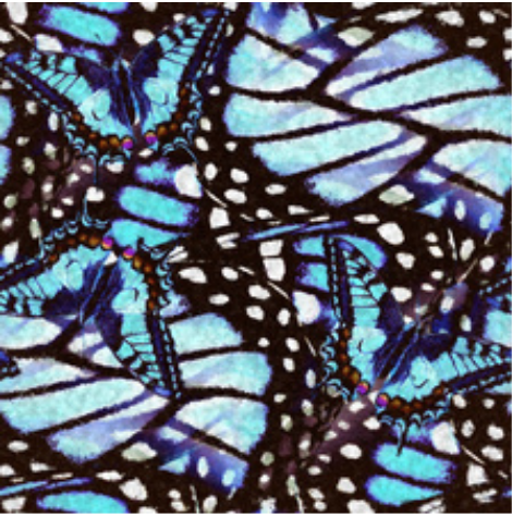 Butterfly_Michele_Tozzi Screen Shot.png