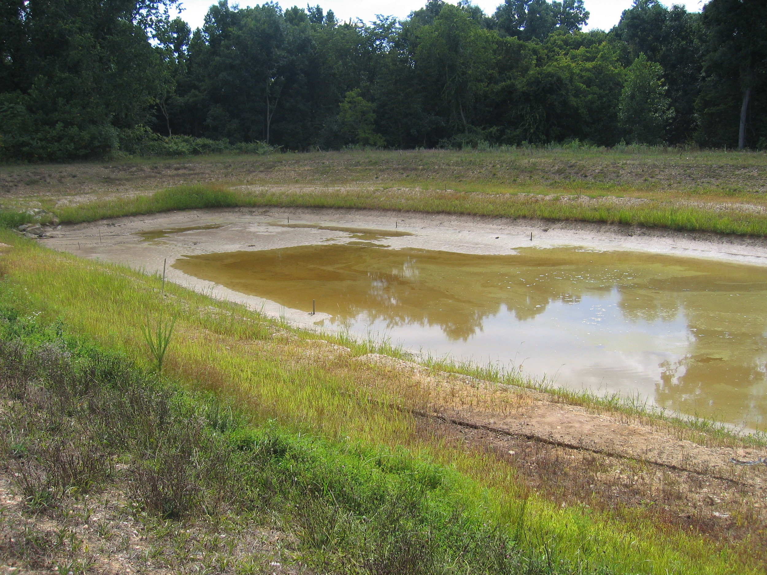 SWM pond #1 During Excavation.JPG