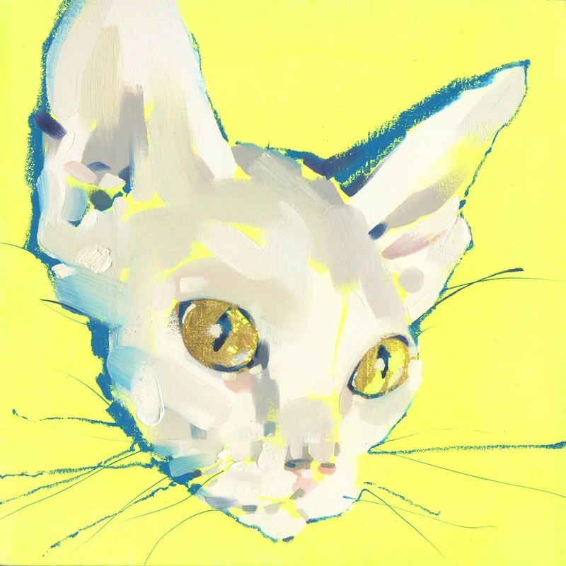 Hairless Pussy
