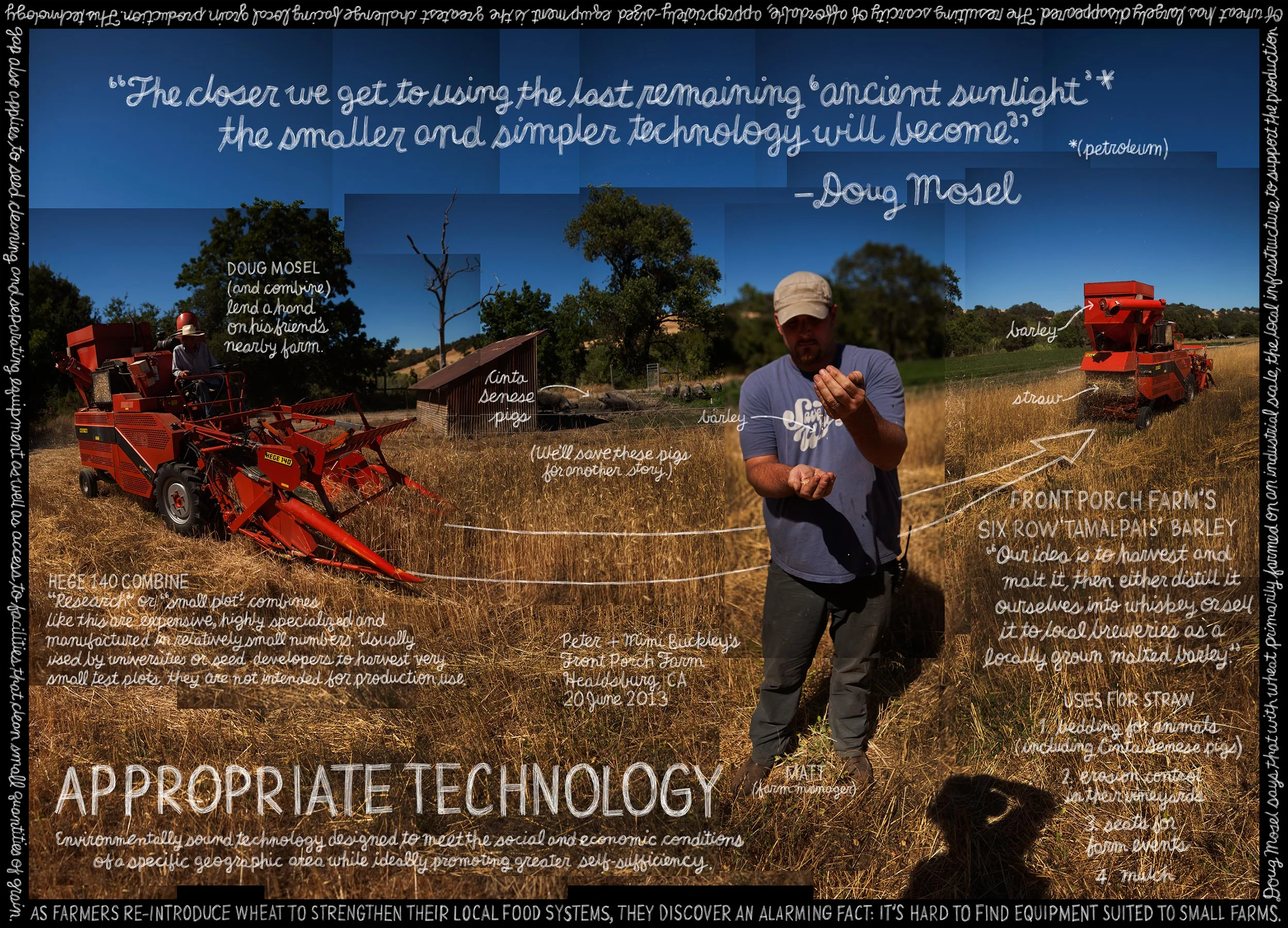 lexicon-of-sustainability.jpg
