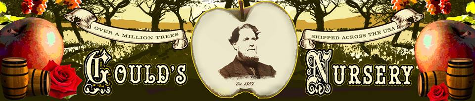 5. Project Leader: Dan Luckin, Essex England Subject: Gould's Nursery Champion: Marilyn Thomas Location: Fast Eddie's Born in Maine, Ingraham Gould gave up farming there and moved to Beaver Dam in 1854. Not a trained nurseryman, he hired Caleb Perry who grew the endeavor until it was the largest west of Rochester, New York. Millions of trees and shrubs were shipped from the nursery to all parts of the country. In 1870 he added a cider mill to the large greenhouse he had already built. Whenever a new family moved to Beaver Dam, Gould planted a tree in their yard as a sign of welcome. He donated the land for Oakwood Cemetery where he is buried.