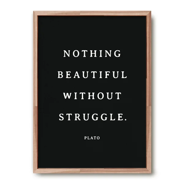 (LCL)SquareVPlatoB.jpg