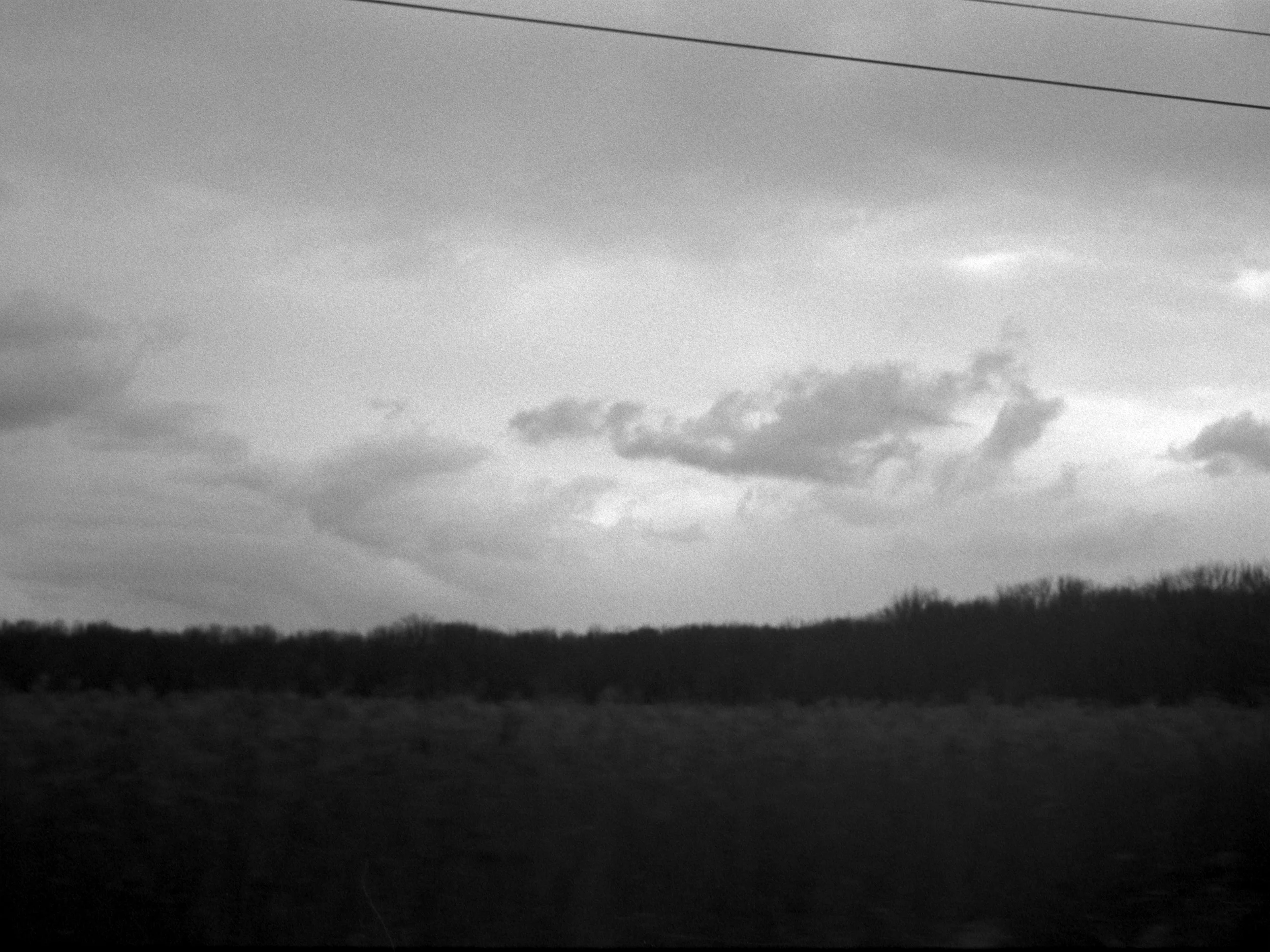 The Strangers Said To Me