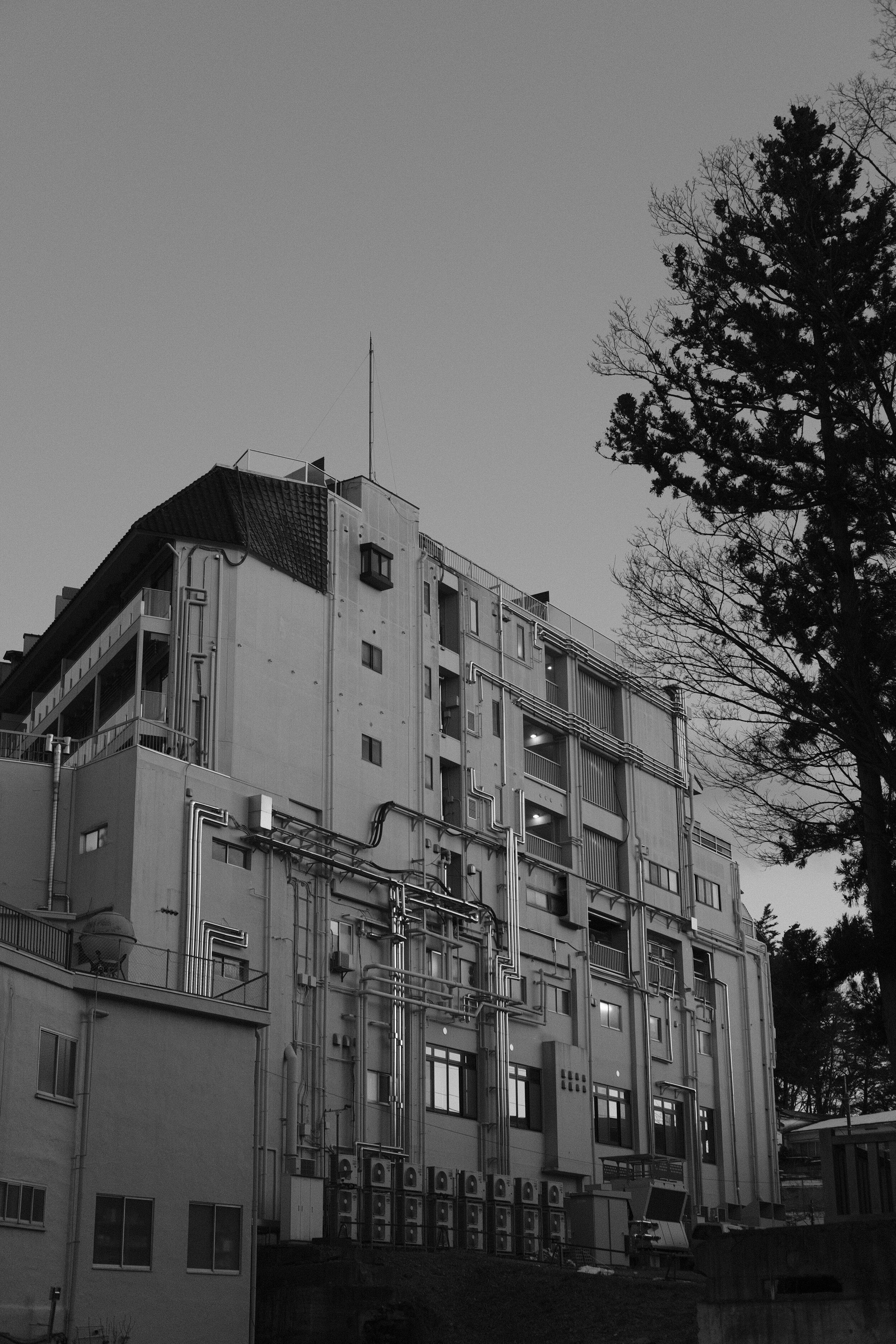 _DSF6172.JPG