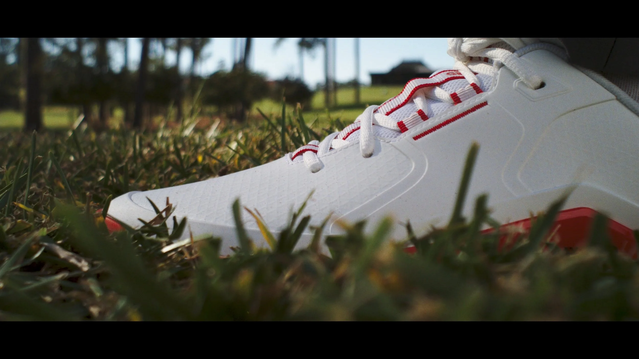 Still 2026-03-16 123457_1.1.13.jpg