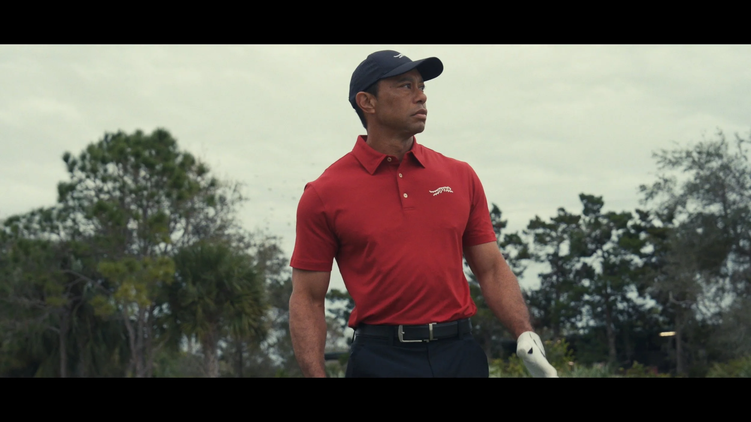 Still 2026-03-16 123814_1.1.23.jpg